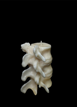 Short Spine Candle
