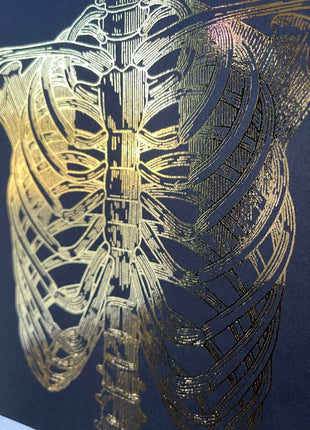Ribs Print