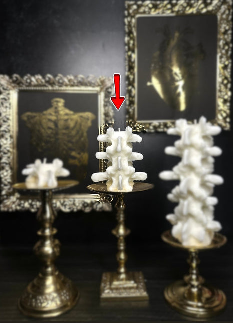 Short Spine Candle