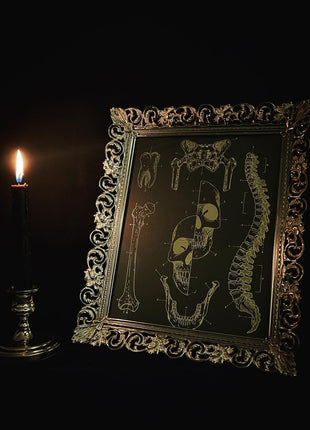 Anatomy Print