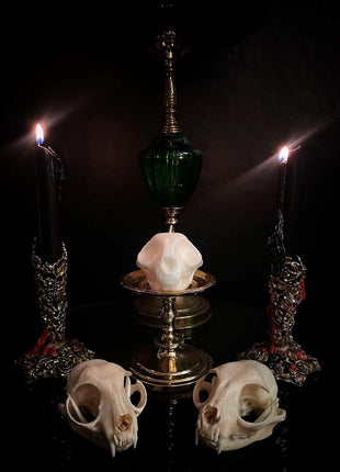 Cat Skull Candle