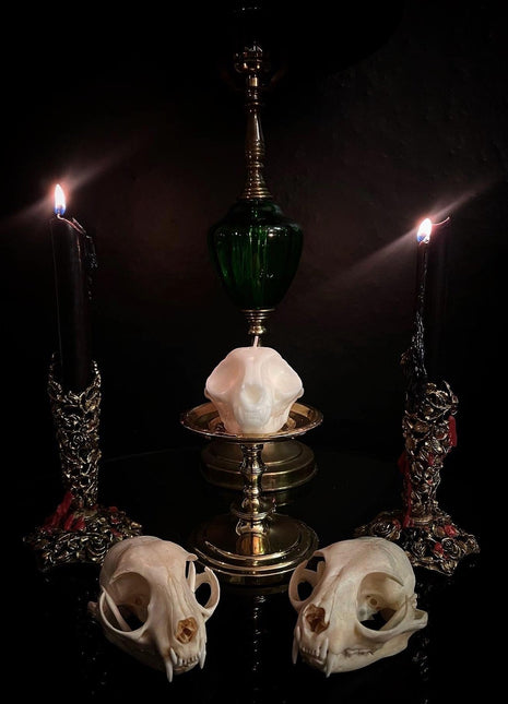 Cat Skull Candle