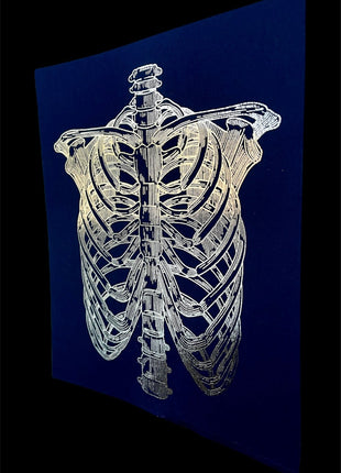 Ribs Print
