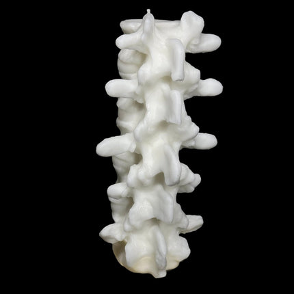 Tall Spine Candle