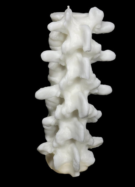 Tall Spine Candle