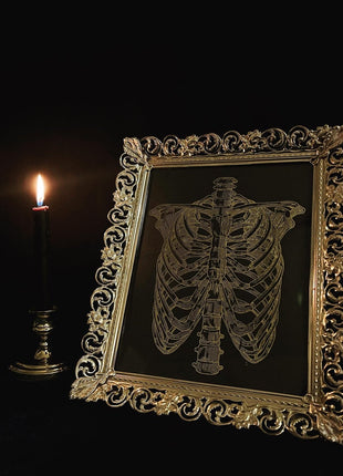 Ribs Print