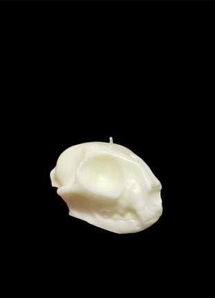 Cat Skull Candle