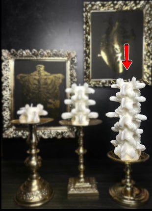 Tall Spine Candle