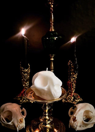 Cat Skull Candle