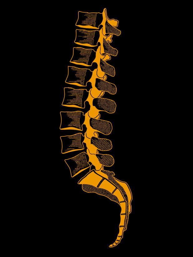 <h2><strong>ANATOMY CANDLES</strong></h2>